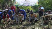 Polresta Cilacap Tebar 7.500 Ekor Benih Ikan Serta Tanam 1000 Pohon Mangrove dan 1.500 Pohon Pepaya