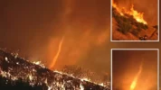 Los Angles Dihantam Tornado Api Firenado Saat Kebakaran Belum Padam