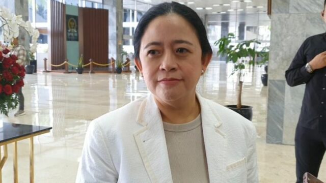 Petinggi PDIP Sekaligus Ketua DPR RI, Puan Maharani