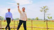 Menteri Pertanian Andi Amran Sulaiman Bersama Presiden Prabowo Subianto