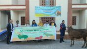 Asmo Sulsel Salurkan Hewan Kurban di Masjid Darul Intiqal Makassar