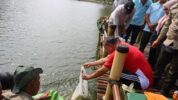 Wali Kota Bekasi Saat Penebaran Ikan Nila dan Patin di Danau Duta Harapan