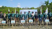 Hari Maritim Nasional 2025, Pelindo Regional 4 Gelar Kick Off Rehabilitasi Mangrove di Bone